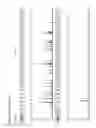 Fig. 13 - Method for direct amplification from crude nucleic acid samples