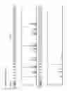 Fig. 14 - Method for direct amplification from crude nucleic acid samples