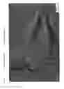 Fig. 06 - NICKEL-COBALT ALLOY