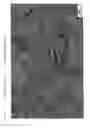 Fig. 07 - NICKEL-COBALT ALLOY