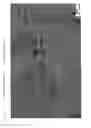 Fig. 08 - NICKEL-COBALT ALLOY