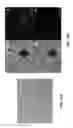 Fig. 04 - Nickel-Titanium-Based Superelastic High-Temperature Shape Memory Alloys