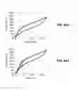 Fig. 06 - Nickel-Titanium-Based Superelastic High-Temperature Shape Memory Alloys