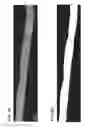 Fig. 06 - Continuous oligocrystalline shape memory alloy wire produced by melt spinning