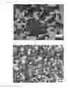 Fig. 02 - METAL COMPOSITE COMPRISING ALIGNED PRECIPITATE AND PREPARATION METHOD THEREFOR