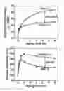 Fig. 05 - METAL COMPOSITE COMPRISING ALIGNED PRECIPITATE AND PREPARATION METHOD THEREFOR