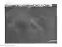 Fig. 17 - METAL COMPOSITE COMPRISING ALIGNED PRECIPITATE AND PREPARATION METHOD THEREFOR