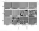 Fig. 18 - METAL COMPOSITE COMPRISING ALIGNED PRECIPITATE AND PREPARATION METHOD THEREFOR