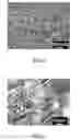 Fig. 08 - Electrochemical Process and Apparatus Therefor