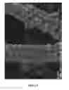 Fig. 12 - Electrochemical Process and Apparatus Therefor