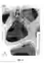 Fig. 13 - Electrochemical Process and Apparatus Therefor