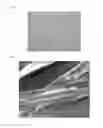 Fig. 02 - Regenerated cellulose fiber