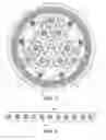 Fig. 03 - UMBILICAL
