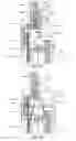 Fig. 17 - Drilling rig