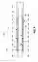 Fig. 10 - METHOD AND APPARATUS FOR HYDRAULIC FRACTURING
