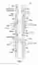 Fig. 02 - Wellbore strings containing annular flow valves and methods of use thereof