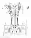 Fig. 02 - Variable vane synchronization ring transmission mechanism