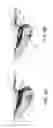 Fig. 07 - Combustion chamber structure for diesel engine