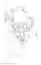 Fig. 03 - Valve for fuel supply system