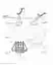 Fig. 03 - Floating Wind Turbine Structure