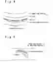 Fig. 04 - TURBINE NOZZLE AND MANUFACTURING METHOD THEREOF