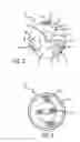 Fig. 05 - Tamper-resistant bicycle axle nut