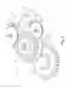 Fig. 07 - Electric brake actuator for vehicles