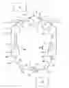 Fig. 01 - Power transfer device