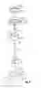 Fig. 05 - Diaphragm valve
