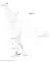 Fig. 04 - Equipoise armature