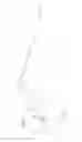Fig. 05 - Equipoise armature