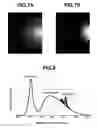 Fig. 05 - Adjustment component and light-emitting device