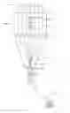 Fig. 01 - Sunny bright solar lighting