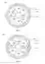 Fig. 03 - Illumination module