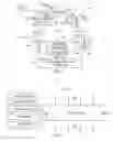Fig. 02 - Spectrally controllable light valve