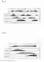 Fig. 07 - Light emitting apparatus