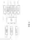 Fig. 05 - WATER PURIFIER
