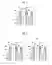 Fig. 03 - HEAT EXCHANGER AND METHOD FOR MANUFACTURING HEAT EXCHANGER