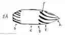 Fig. 01 - Bullet or Projectile With Spiral Grooves