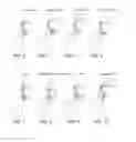 Fig. 03 - Facial movement and expression detection and stimulation