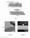 Fig. 10 - Ultra-sensitive force sensing based on evanescent light