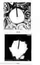 Fig. 09 - Rapid characterization of the solubility of amphiphiles