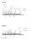 Fig. 05 - Method for Enriching and Isolating Cells Having Concentrations Over Several Logarithmic Steps
