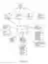 Fig. 03 - Spatial positioning of spectrally labeled beads