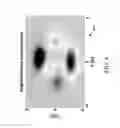 Fig. 05 - Species spatial reconstruction for exhaust system using spectroscopy and tomography