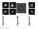 Fig. 05 - ROTATING SCATTERING PLANE BASED NONLINEAR OPTICAL SPECTROMETER TO STUDY THE CRYSTALLOGRAPHIC AND ELECTRONIC SYMMETRIES OF CRYSTALS