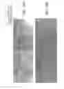 Fig. 06 - TRACERS FOR USE IN COMPRESSION MOLDING OF UNIDIRECTIONAL DISCONTINUOUS FIBER COMPOSITE MOLDING COMPOUND