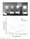 Fig. 02 - NANO-WELL BASED ELECTRICAL IMMUNOASSAYS