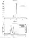Fig. 03 - HIGH THROUGHPUT QUANTIFICATION AND CHARACTERIZATION OF FOOT AND MOUTH DISEASE VIRUS AND PRODUCTS THEREOF