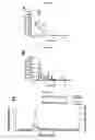 Fig. 05 - HIGH THROUGHPUT QUANTIFICATION AND CHARACTERIZATION OF FOOT AND MOUTH DISEASE VIRUS AND PRODUCTS THEREOF